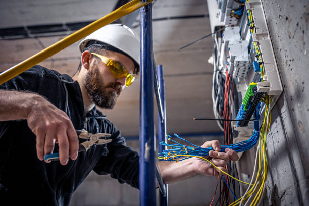 Best Electrical Repair Services  in Friona, TX