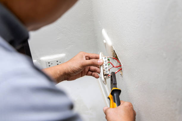 Best Electrician for Home Renovation  in Friona, TX