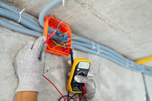 Best Licensed Electrician  in Friona, TX