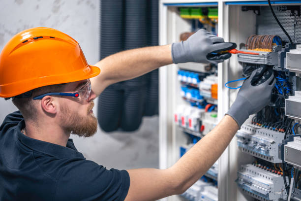 Best Local Electrician Companies  in Friona, TX